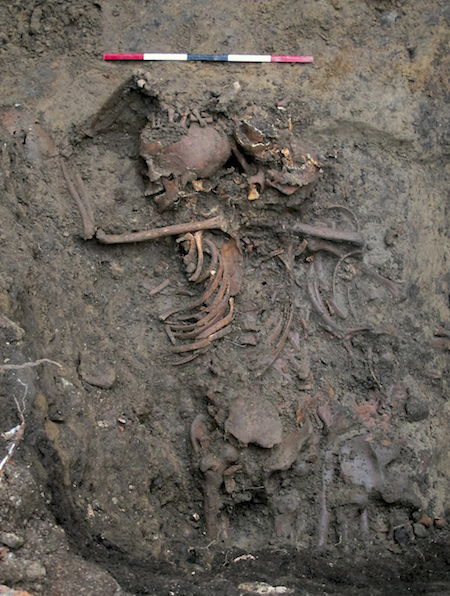 The uppermost skeletons in the larger of the two mass graves, at the north-east side of the site. The person at the centre was laid on his right side on top of another individual. Credit Richard Annis/Durham University.